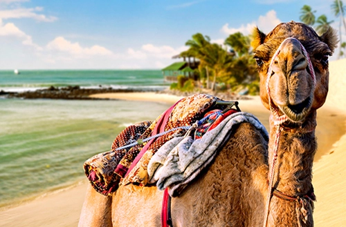 1645009243620cd95b16f6f