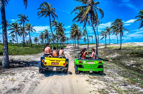 1645009243620cd95b41158