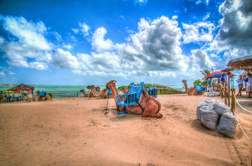 1645009258620cd96ae32b4