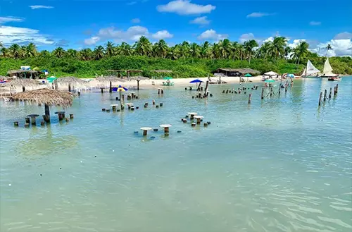 16456466036216930b1a8c6