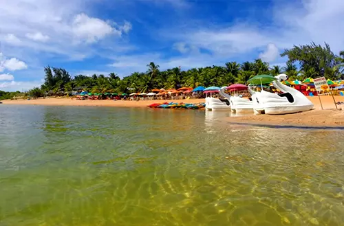 1645647567621696cf19336