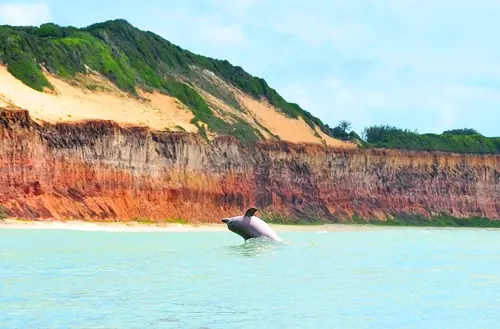 16456677406216e59c2067e