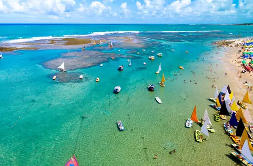 1645040657620d541152a3b