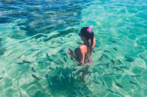 1645040657620d541152b45