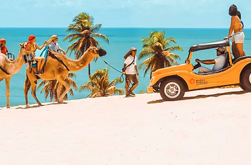 16456474556216965f8eef6