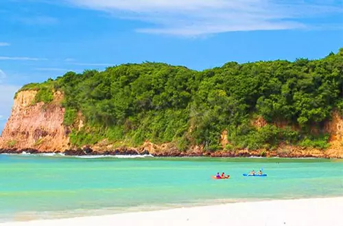 16456474556216965f8f249