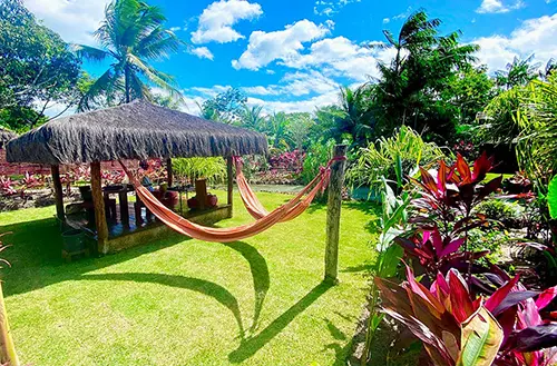 16456585716216c1cb2c768