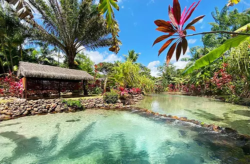 16456585716216c1cb2ccf0