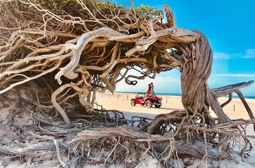 16456606906216ca12a7d55