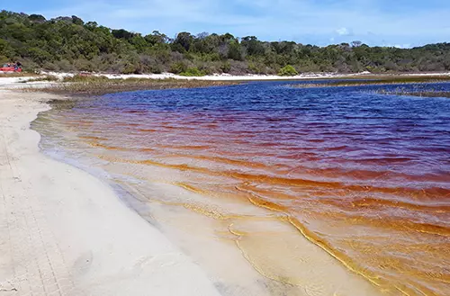 16456663036216dfff45a38