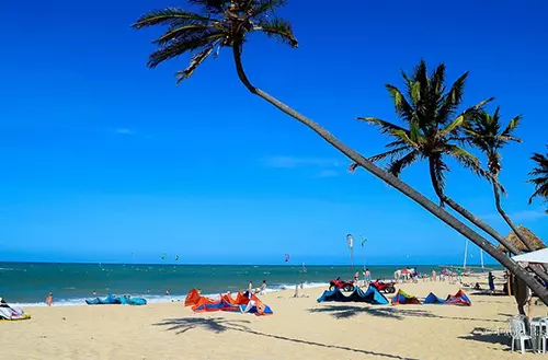 16456692006216eb50f126c