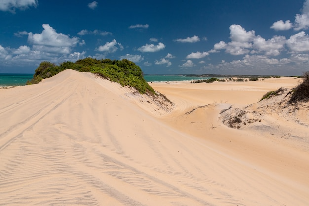 dunas-de-malemba-praia-da-pipa-t